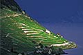 Vignobles et la Suisse