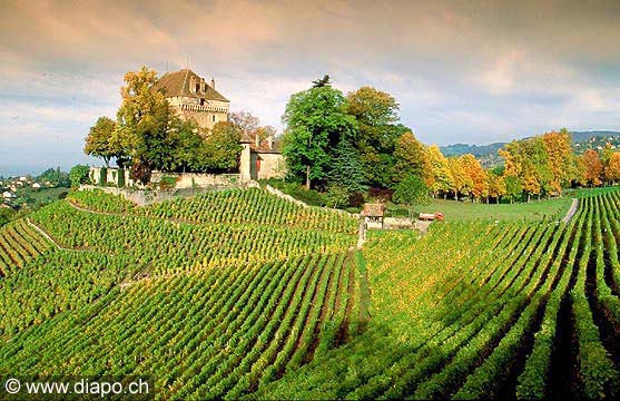 173 - Chteau du Chtelard