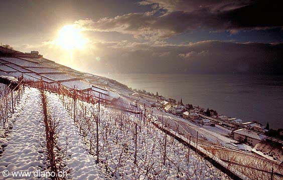 174 - Aran-Villette en hiver