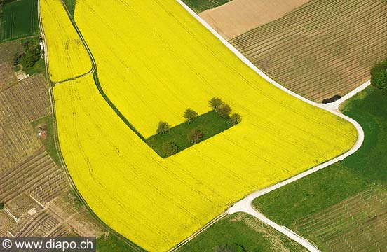 817 - Campage vaudoise