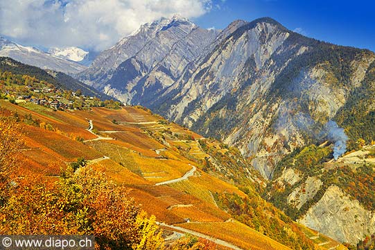 10348 - Photo: Suisse, vignoble du Valais, switzerland, swiss wines - wein, schweiz