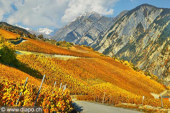 10349 - Photo: Suisse, vignoble du Valais, switzerland, swiss wines - wein, schweiz