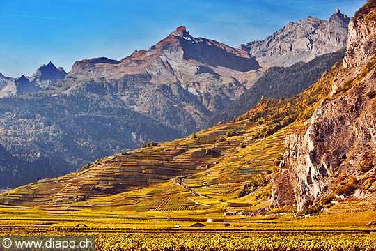 10356 - Photo: Suisse, vignoble du Valais, Chamoson, switzerland, swiss wines - wein, schweiz