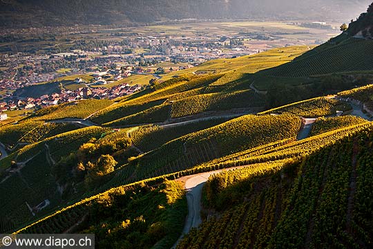 10357 - Photo: Suisse, vignoble du Valais, switzerland, swiss wines - wein, schweiz