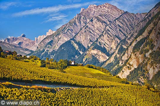 10358 - Photo: Suisse, vignoble du Valais, switzerland, swiss wines - wein, schweiz