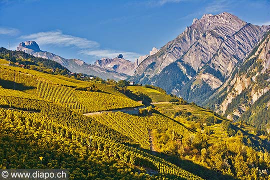 10360 - Photo: Suisse, vignoble du Valais, switzerland, swiss wines - wein, schweiz
