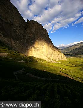 10362 - Photo: Suisse, vignoble du Valais, Chamoson, switzerland, swiss wines - wein, schweiz