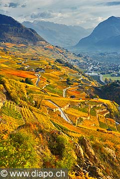 10365 - Photo: Suisse, vignoble du Valais, Sion, switzerland, swiss wines - wein, schweiz