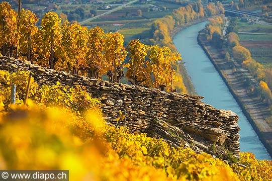 10367 - Photo: Suisse, vignoble du Valais, Sion, switzerland, swiss wines - wein, schweiz