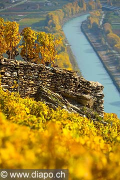 10368 - Photo: Suisse, vignoble du Valais, Sion, switzerland, swiss wines - wein, schweiz