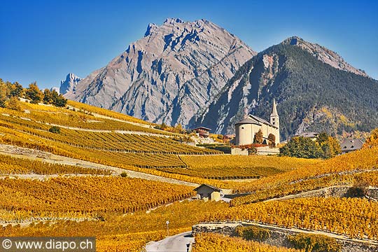 10369 - Photo: Suisse, vignoble du Valais, switzerland, swiss wines - wein, schweiz