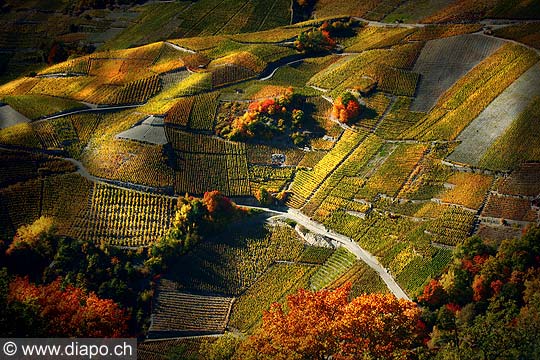 10372 - Photo: Suisse, vignoble du Valais, switzerland, swiss wines - wein, schweiz