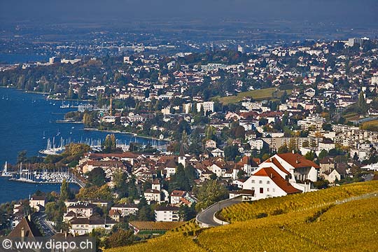 10393 - Photo : Suisse, canton de Vaud, vignoble de Lavaux en terrasses en direction de Lausanne et le Lac Lman