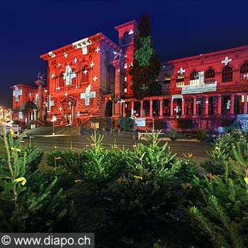 10415 - Photo : Festival Luminis -  Le Palais de Rumine clair grce aux illuminations de l'artiste Gerry Hofstetter, ville de Lausanne - Suisse