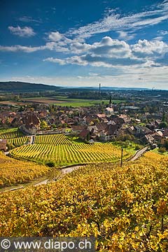 10437 - Photo :Cressier et le vignoble du Landeron dans le canton de Neuchtel