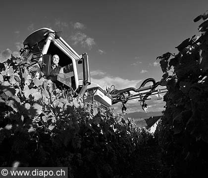 10494 - DOMAINE DU MARTHERAY, le travail mcanique