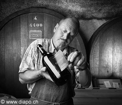 10496 - DOMAINE CHATELANAT, l'tiquetage