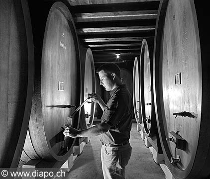 10497 - DOMAINE AUTECOUR, l'analyse