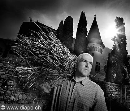 10499 - CHATEAU MAISON  BLANCHE, la taille