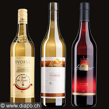 10505 - Bouteilles AVY