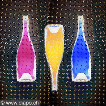 10506 - bouteille fine art