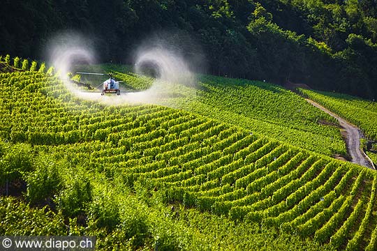 10545 - Photo: Hlicotre qui sulfat le vignoble d'Yvorne dans le Chablais