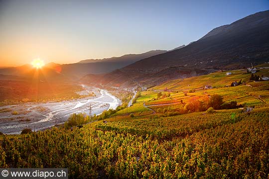 10709 - Photo: Suisse, Valais, vignoble entre leuk et Varen, switzerland, swiss wines - wein, schweiz