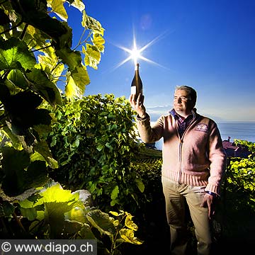 10902 - Daniel Rey, Il avoue aimer de plus en plus la viticulture et de moins en moins les affaires.