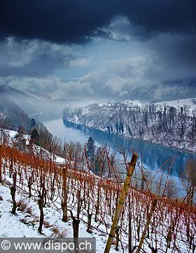 10990 - Photo - Suisse almanique, Les vignes surplombent Eglisau (Zurich) et le Rhin