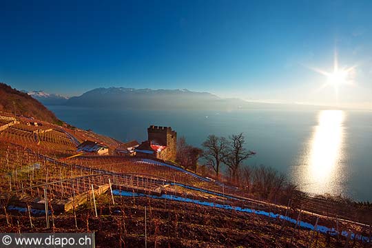 10995 - Photo : Suisse, canton de Vaud, Tour de Marsens, vignoble de Lavaux en terrasses, et le Lac Lman - UNESCO