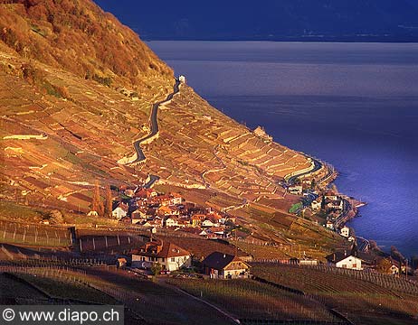 11981 - Photo : Suisse, canton de Vaud, vignoble de Lavaux, et le Lac Lman - UNESCO 