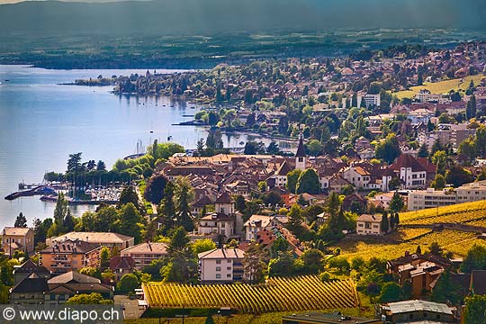 11985 -  Photo : Suisse, canton de Vaud, village de Lutry, vignoble de Lavaux et le Lac Lman 
