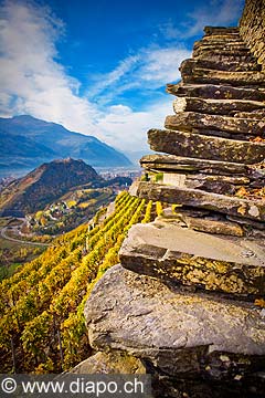 12007 - Photo: Suisse, Valais, vignoble de Sion, la Cotzette, switzerland, swiss wines - wein, schweiz 
