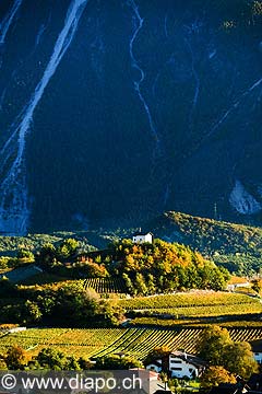 12015 - Photo: Suisse, Valais, vignoble de Salquenen, Salgesch, switzerland, swiss wines - wein, schweiz 