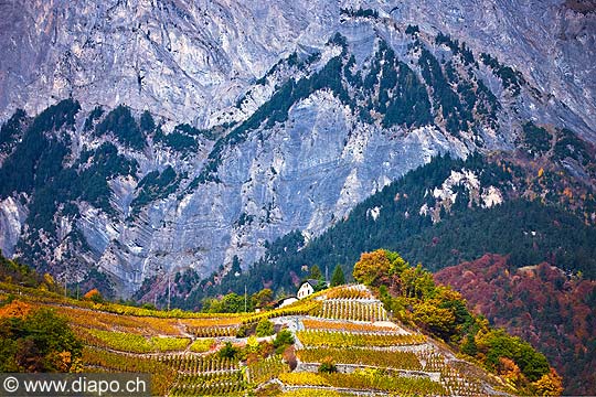 12783 - Photo: Suisse, Valais, vignoble, switzerland, swiss wines - wein, schweiz