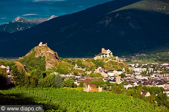 12784 - Photo: Suisse, Valais, vignoble de Sion, switzerland, swiss wines - wein, schweiz
