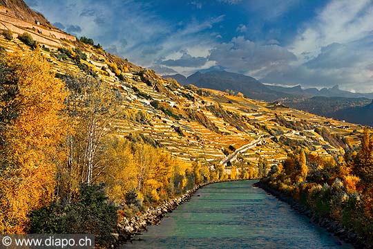 12790 - Photo: Suisse, Valais, vignoble de Sion avec le Rhne, switzerland, swiss wines - wein, schweiz