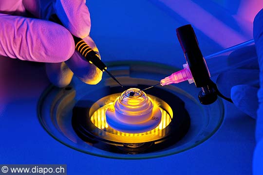 12798 - Laboratoire de lentilles de contact labo ophtalmologie - Science Lab using a Microscope Lab technician in clean suit