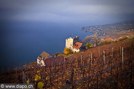 12826 - Photo : Suisse, canton de Vaud, Tour de Marsens, vignoble de Lavaux en terrasses, et le Lac Lman - UNESCO 