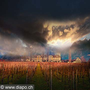 12830 - Photo: Le chteau de Salenegg et le vignoble  Maienfeld (GR)