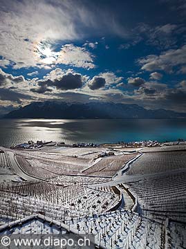12833 - Photo: Village de Rivaz - Suisse, canton de Vaud, vignoble de Lavaux sous la neige et le Lac Lman - UNESCO 