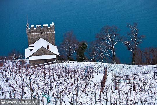 12836 - Tour de Marsens, Suisse, canton de Vaud, vignoble de Lavaux sous la neige et le Lac Lman 