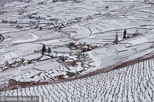 12837 - Photo: Villages Epesses et Riex - Suisse, canton de Vaud, vignoble de Lavaux sous la neige