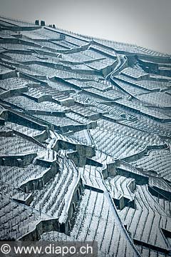 12838 - Suisse, canton de Vaud, vignoble de Lavaux sous la neige