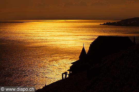 13035 - Photo : Suisse - Lac Lman depuis Lavaux