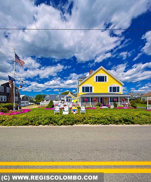 13091 - la vie en jaune, USA