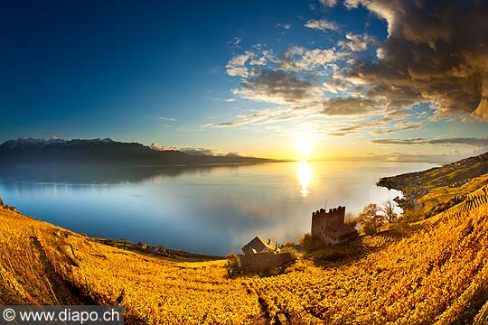 13106 - Photo : Suisse, canton de Vaud, Tour de Marsens, vignoble de Lavaux en terrasses, et le Lac Lman - UNESCO 