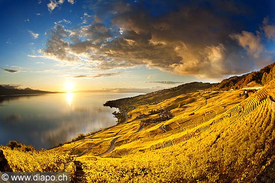 13108 - Photo : Suisse, canton de Vaud, Tour de Marsens, vignoble de Lavaux en terrasses, et le Lac Lman - UNESCO 