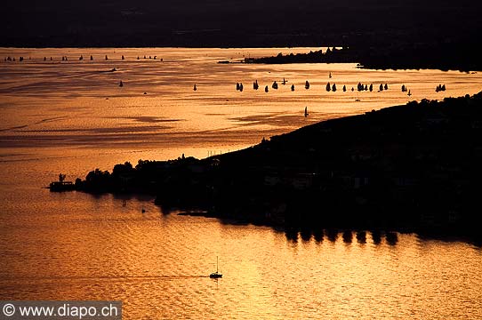 13185 - photo: Suisse - lac Lman, Lavaux avec bateaux