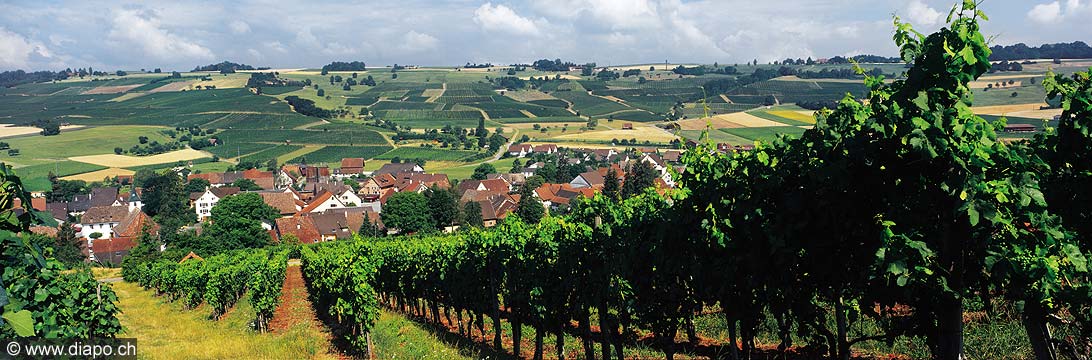 2795 - Oberhallau (SH).